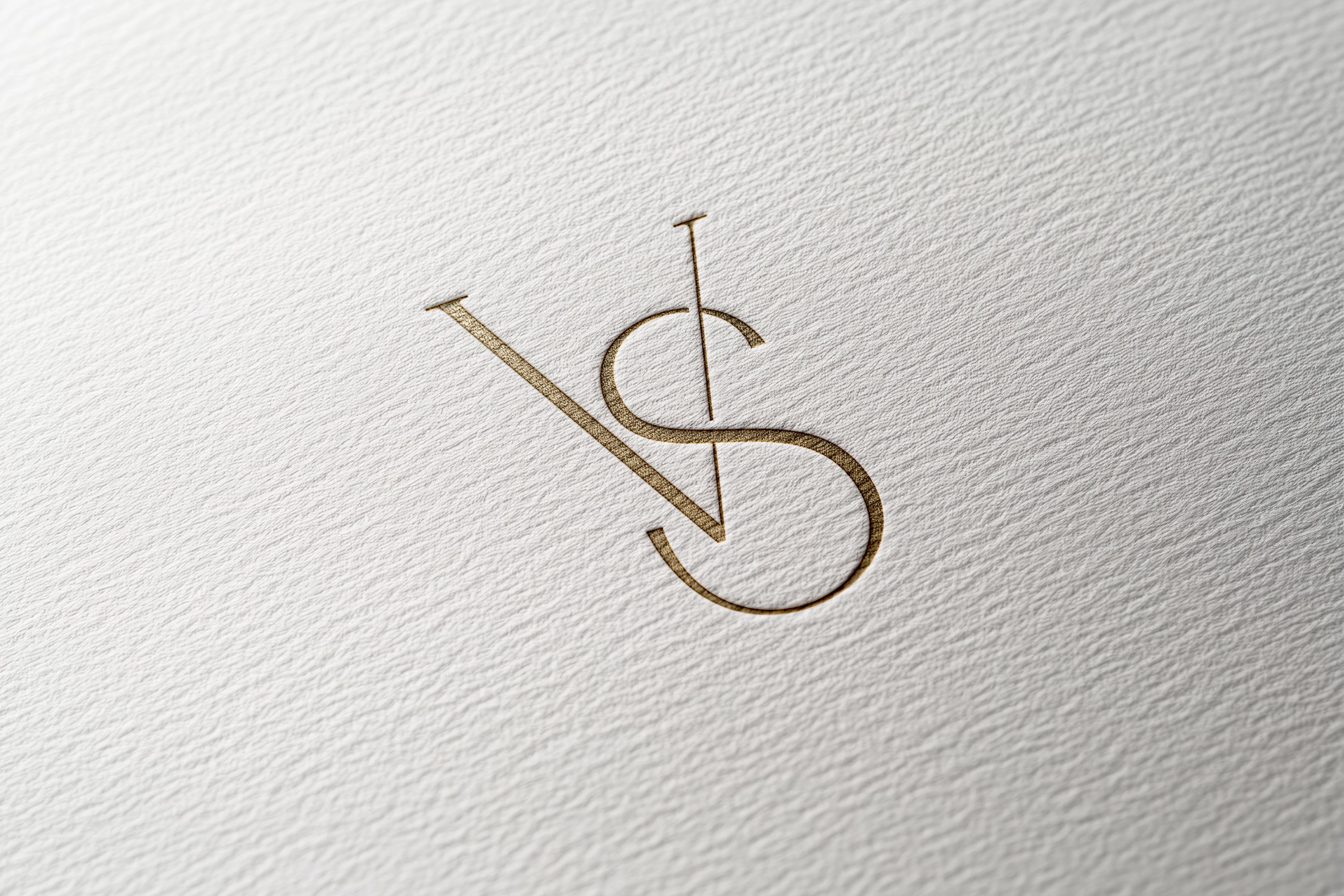 VS Monogram