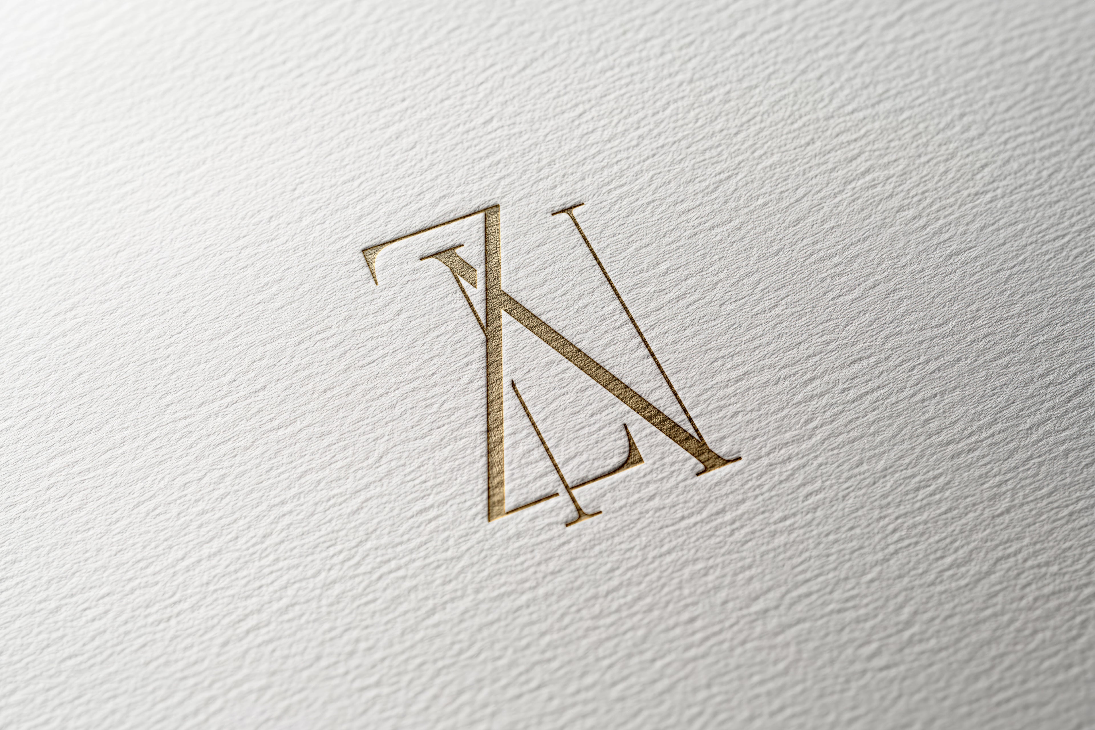 ZN Monogram