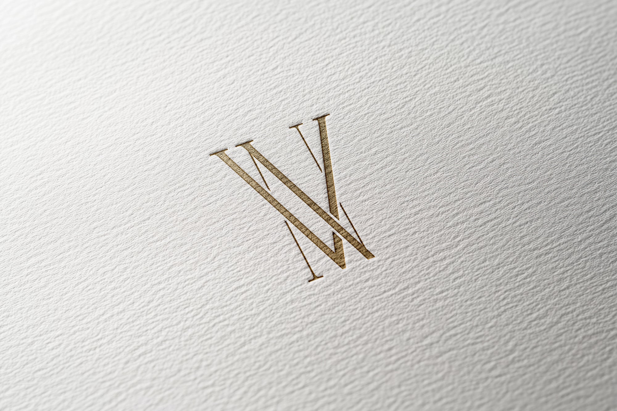 VN Monogram